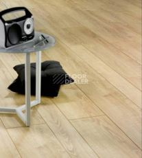 Alsafloor Solid Plus ДУБ КАНАРСКИЙ 621 фото 2 | FLOORDEALER